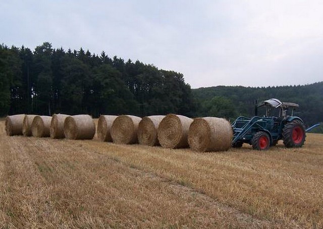 Hanomag